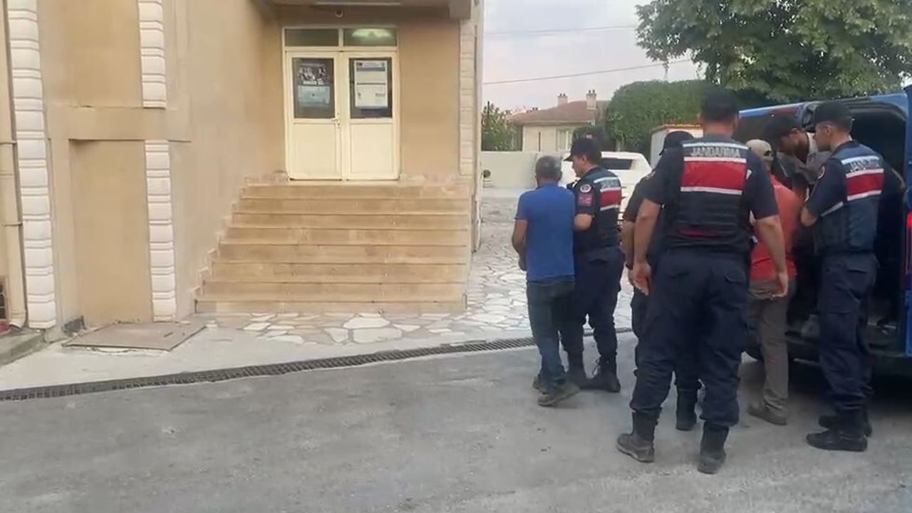 Orman Yangınları