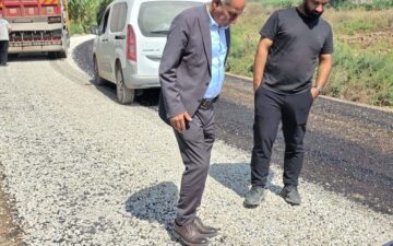 Yumurtalık