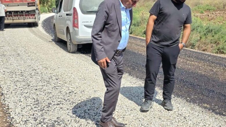 Yumurtalık
