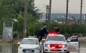 yollar