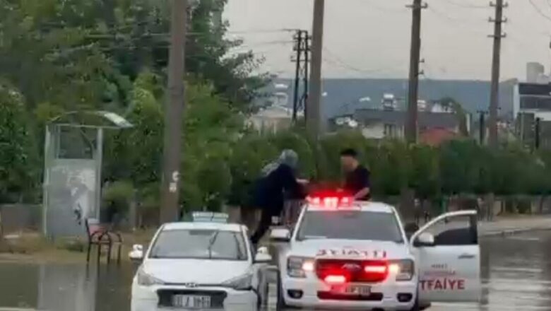 yollar